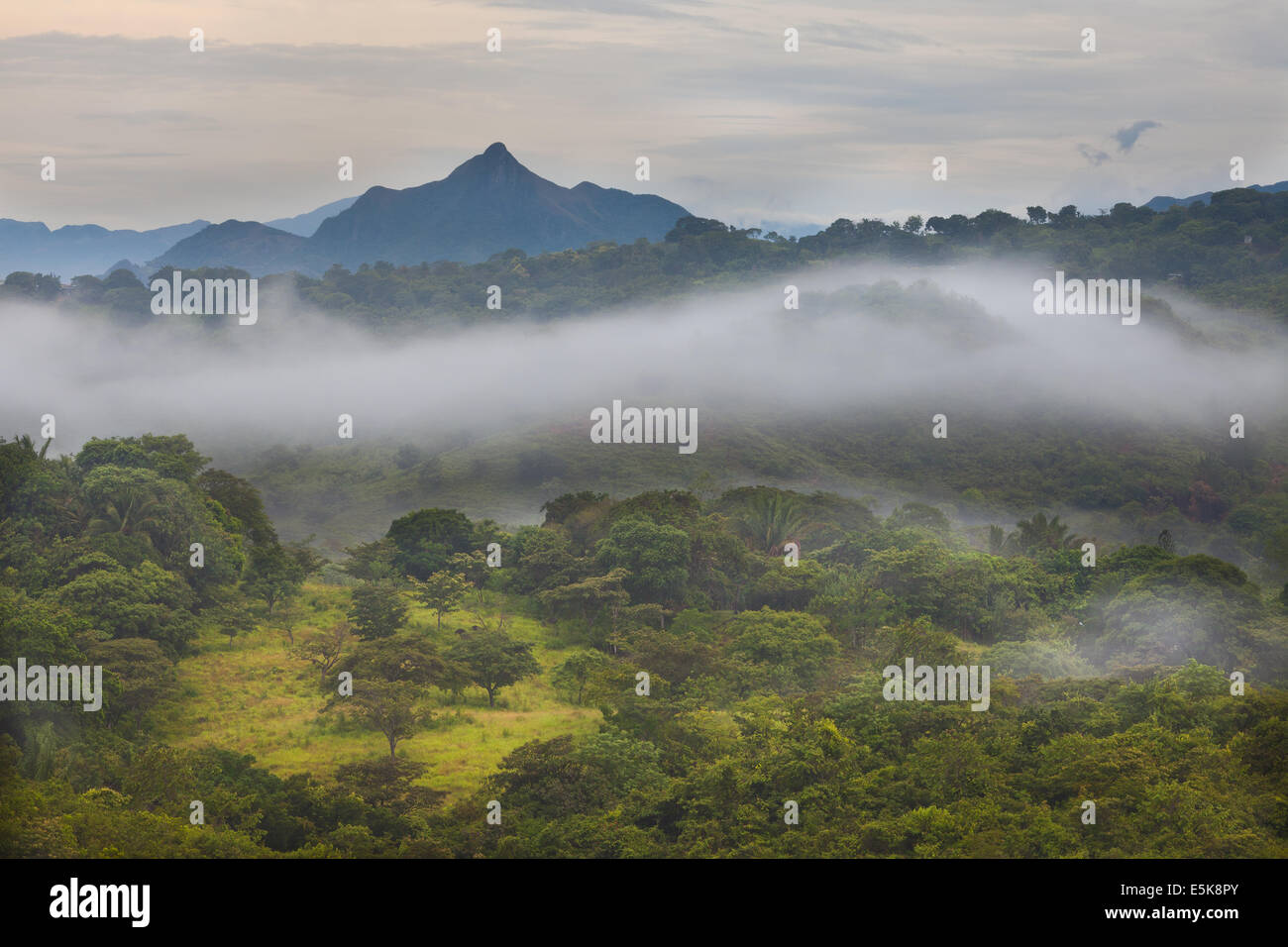 Misty paisajes al amanecer en el interior de la provincia de Coclé, la Cordillera Central, República de Panamá. La montaña Cerro Horario de apertura, de 560 m, se encuentra en el extremo Foto de stock