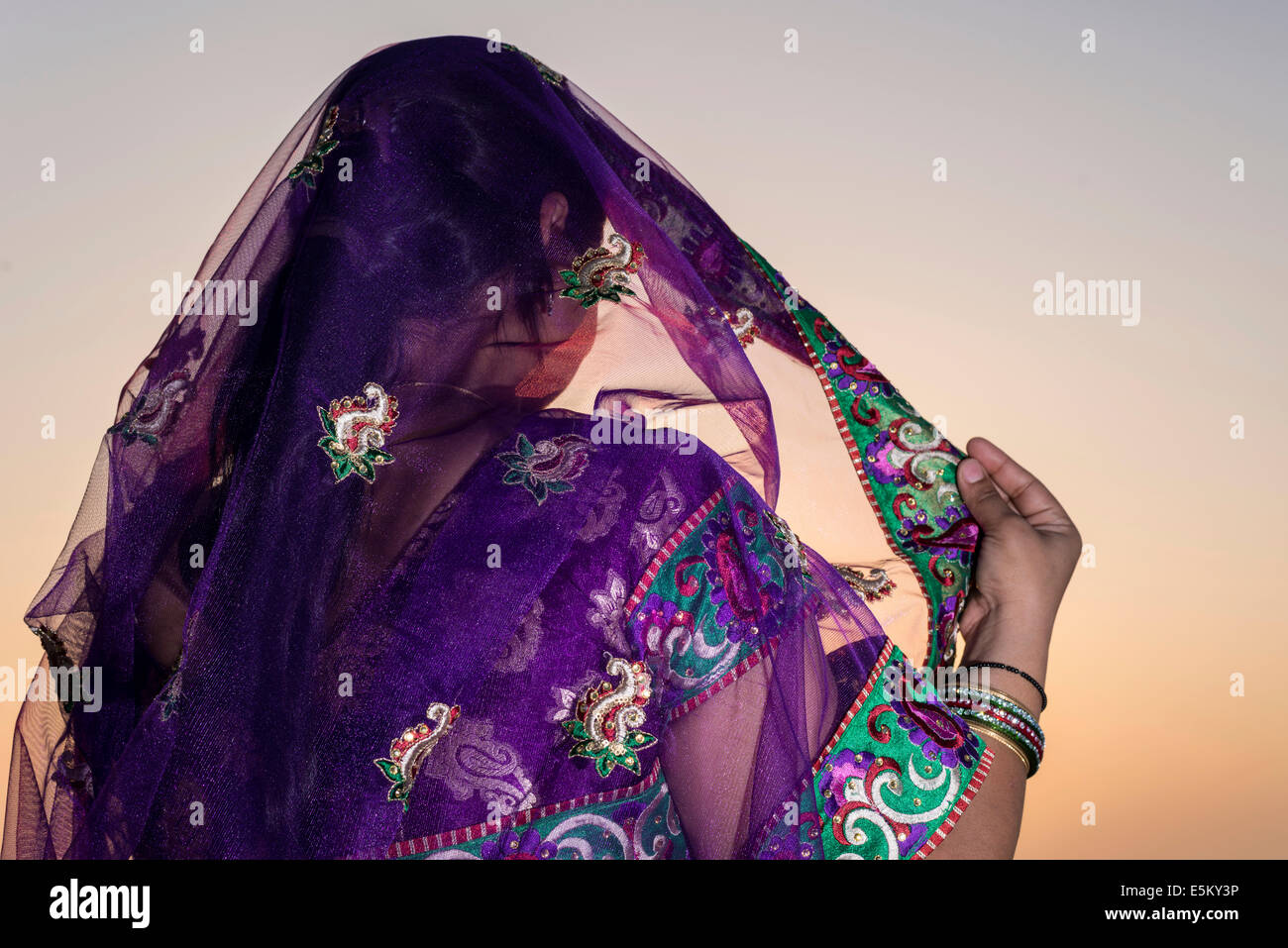 Mujer vistiendo un sari morado, Vrindavan, Uttar Pradesh, India Foto de stock