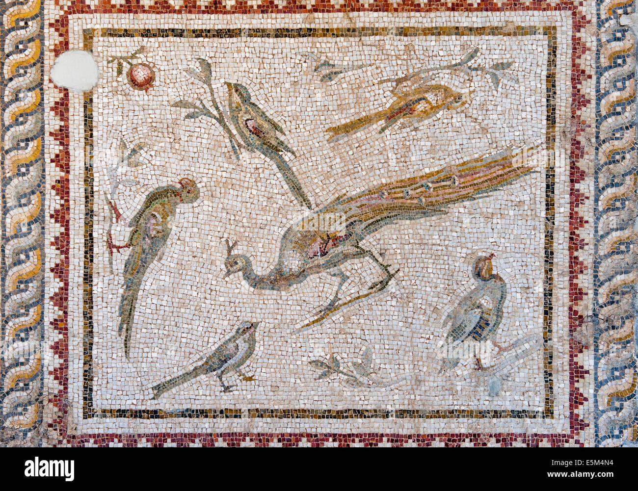 Mosaico de pájaros y flores de Harbiye (DAPHNE), 2% A.C., Museo de Arqueología de Hatay, Antioquía, en el suroeste de Turquía Foto de stock