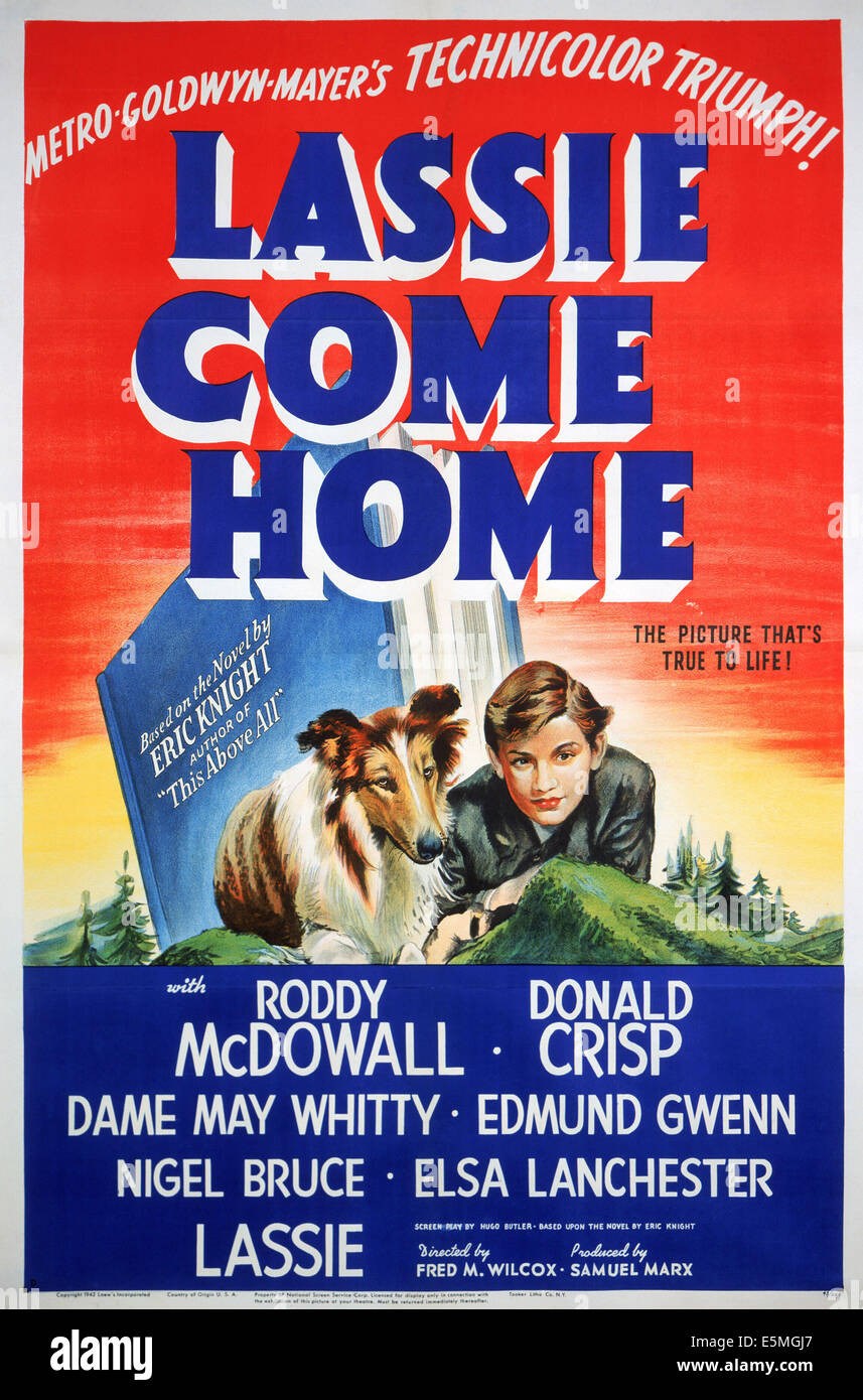 LASSIE COME HOME, Lassie, Roddy McDowall, 1943 Foto de stock