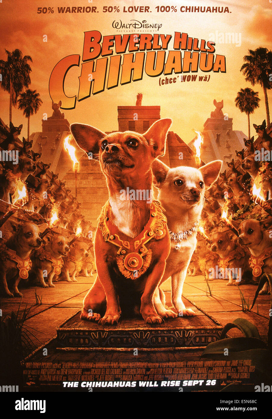 Beverly hills chihuahua fotografías e imágenes de alta resolución - Alamy