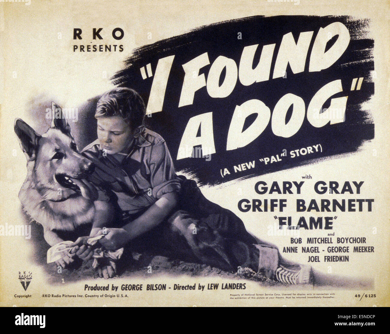 He encontrado un perro, desde la izquierda: Ace el perro maravilla, Gary  Gray, 1949 Fotografía de stock - Alamy