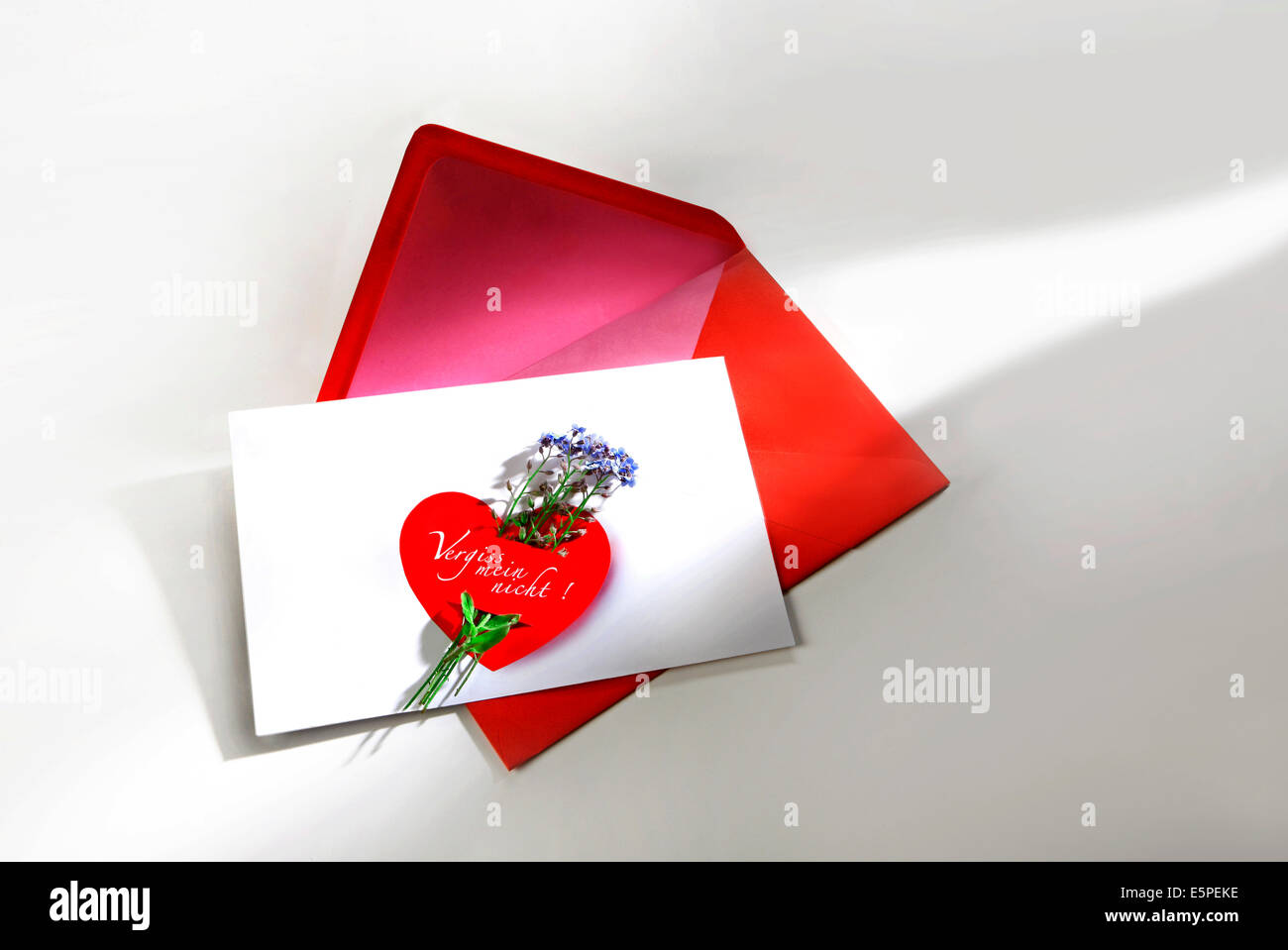 Tarjeta de felicitación con sobres rojos y Forget-me-not nosegay Foto de stock