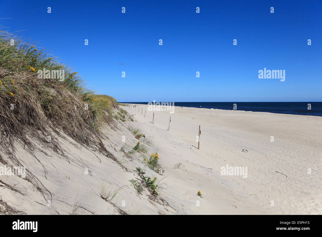 Luz Nauset Beach, Cape Cod National Seashore, Orleans, en Cape Cod, Massachussets, Nueva Inglaterra, los Estados Unidos de América Foto de stock