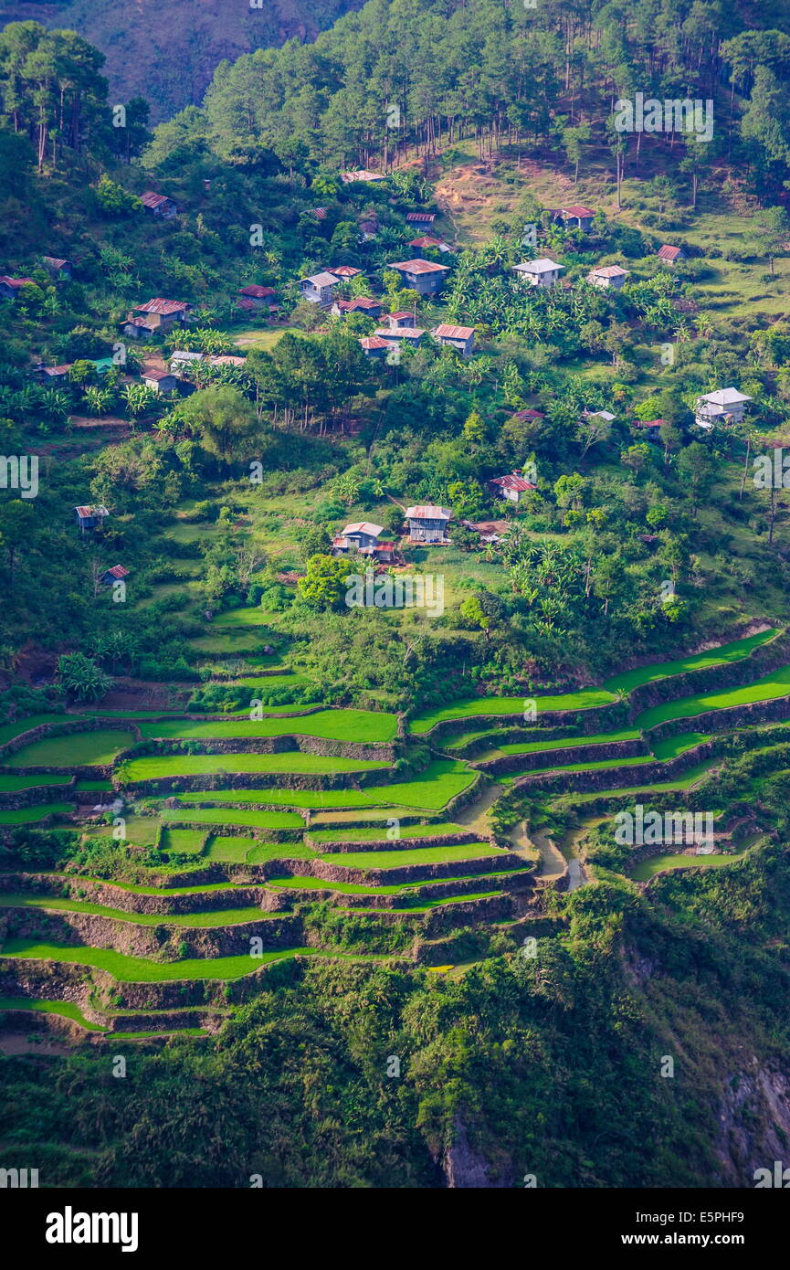 Vista desde la torre Kiltepan sobre las terrazas de arroz, Sagada, Luzón, Filipinas, el sudeste de Asia, Asia Foto de stock