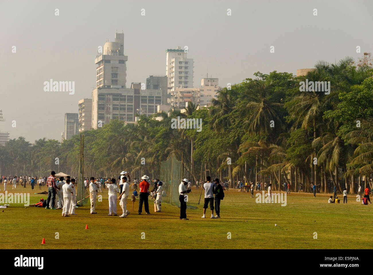 Redes de cricket Oval en el maidan espacio verde, en Mumbai, India, Asia Foto de stock