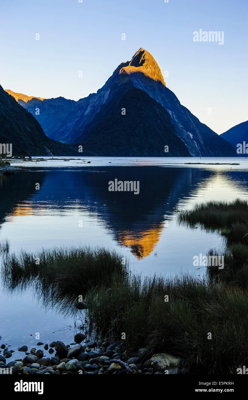 La luz de la mañana temprano en el Milford Sound, el Parque Nacional Fiordland, sitio UNESCO, Isla del Sur, Nueva Zelanda Foto de stock