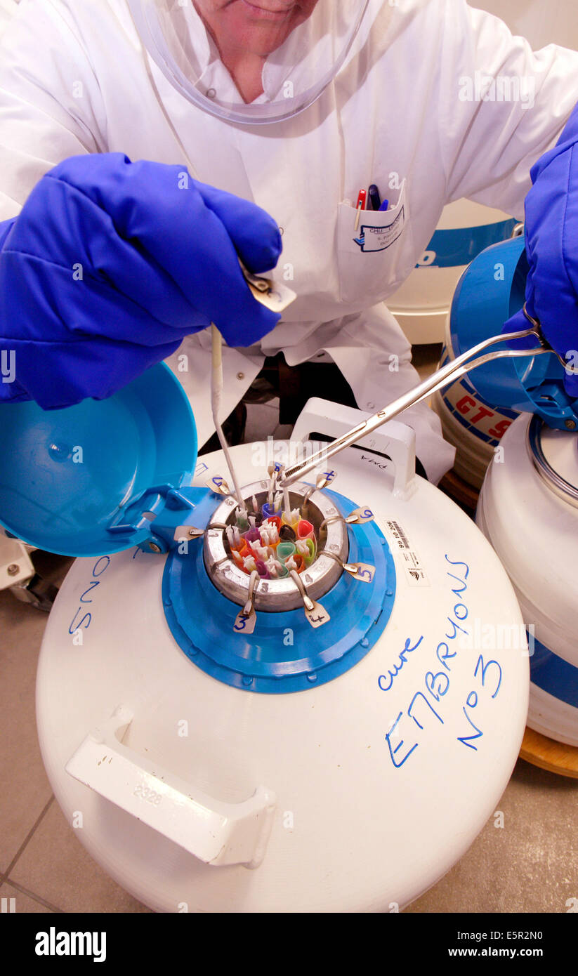 La criopreservación de embriones y pajuelas de semen congelado en nitrógeno líquido, la procreación asistida médicamente, Limoges de laboratorio Foto de stock