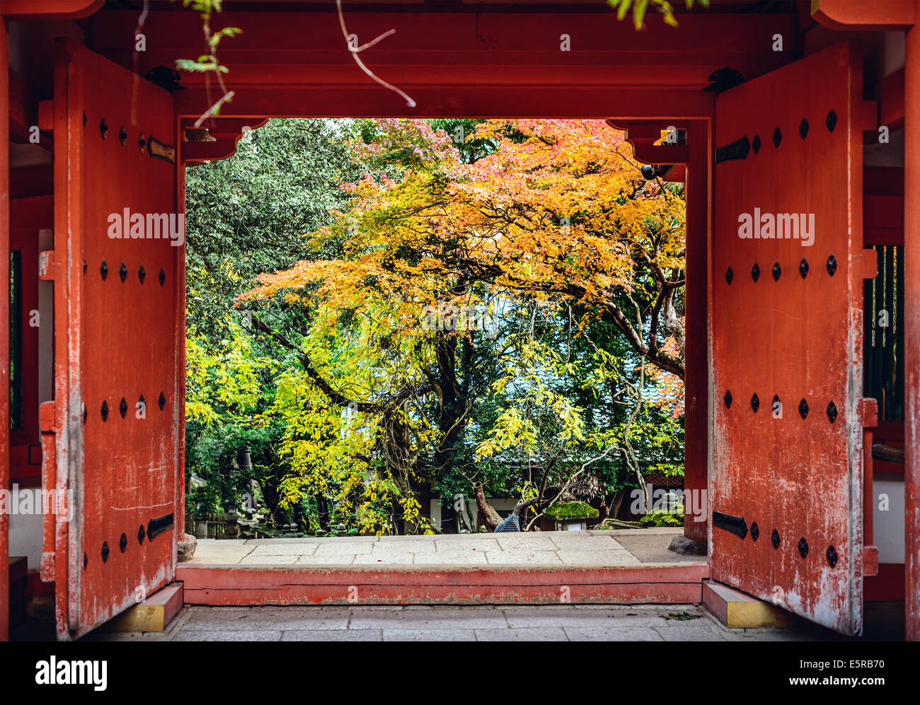 En Nara, Japón Kasuga-Taisha Santuario con follaje de otoño. Foto de stock