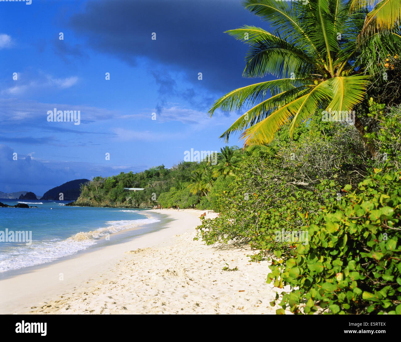 Islas Vírgenes de los Estados Unidos, la isla de San Juan, Bahía Trunk, los turistas de playa tropical en el Caribe Foto de stock