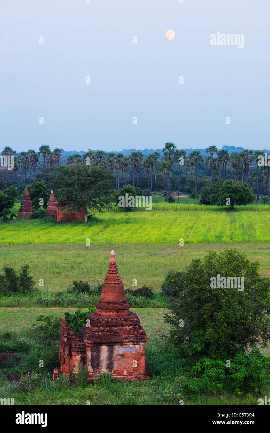 El Sudeste de Asia, Myanmar, Bagan, Luna sobre un templo en la llanura de Bagan Foto de stock