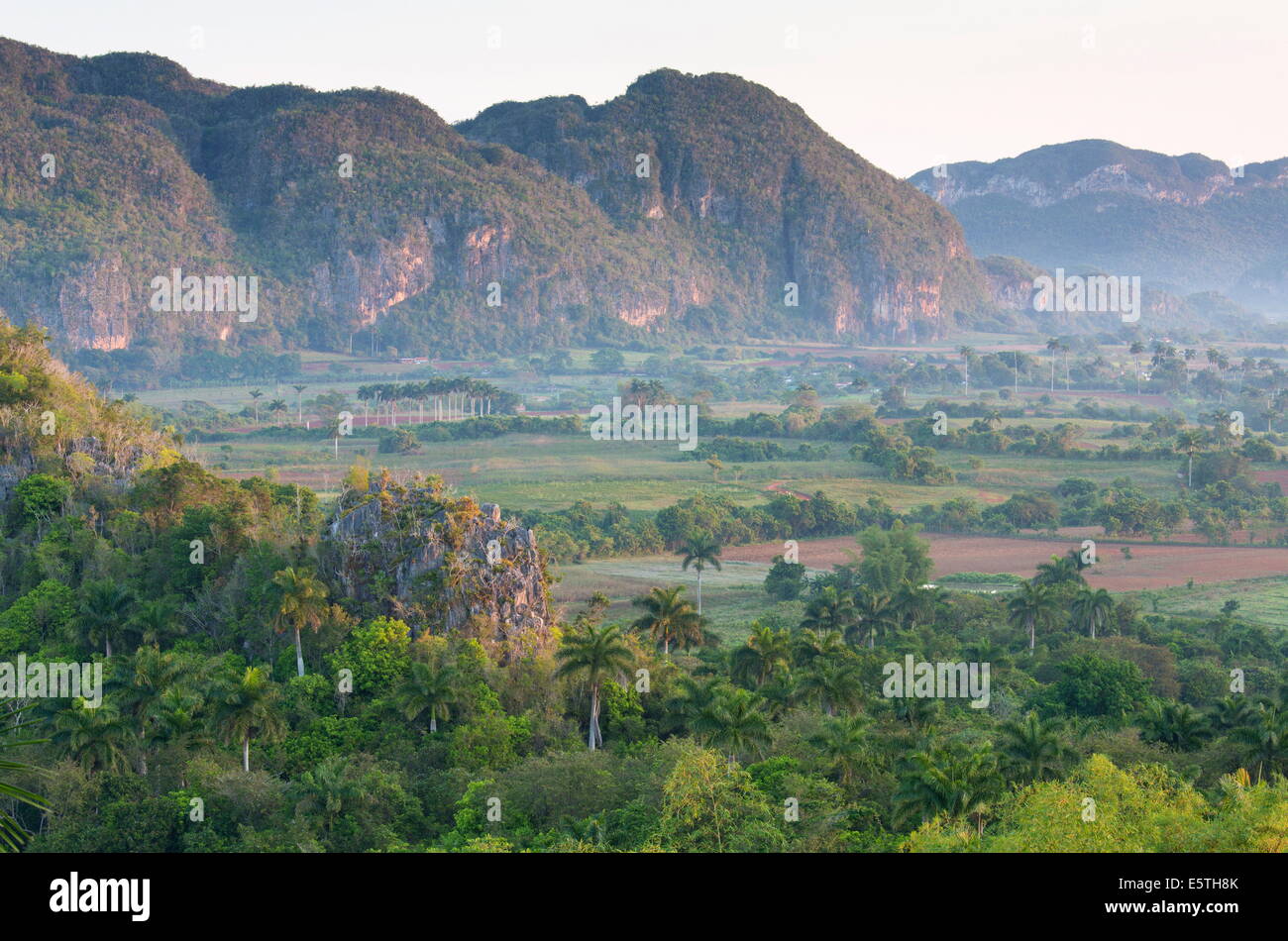 El Valle de Viñales, sitio UNESCO, bañado en la luz del sol por la mañana temprano, Viñales, Pinar del Río, Cuba, Las Antillas, Caribe Foto de stock