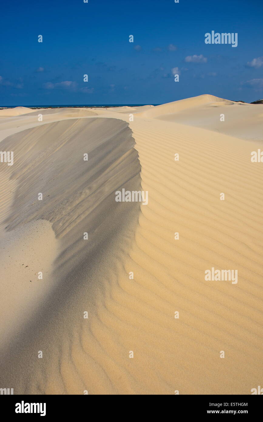 Dunas de arena en la costa sur de la isla de Socotra, Mundial de la UNESCO Sitio Heritatge, Yemen, Oriente Medio Foto de stock