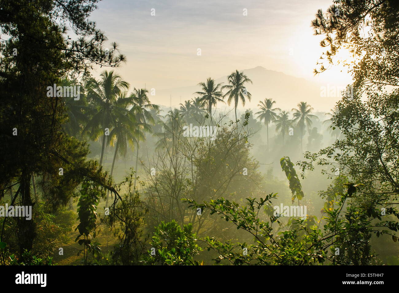 Temprano en la mañana la vista de la campiña que rodea el complejo del templo de Borobodur, sitio UNESCO, Java, Indonesia, Sudeste de Asia Foto de stock