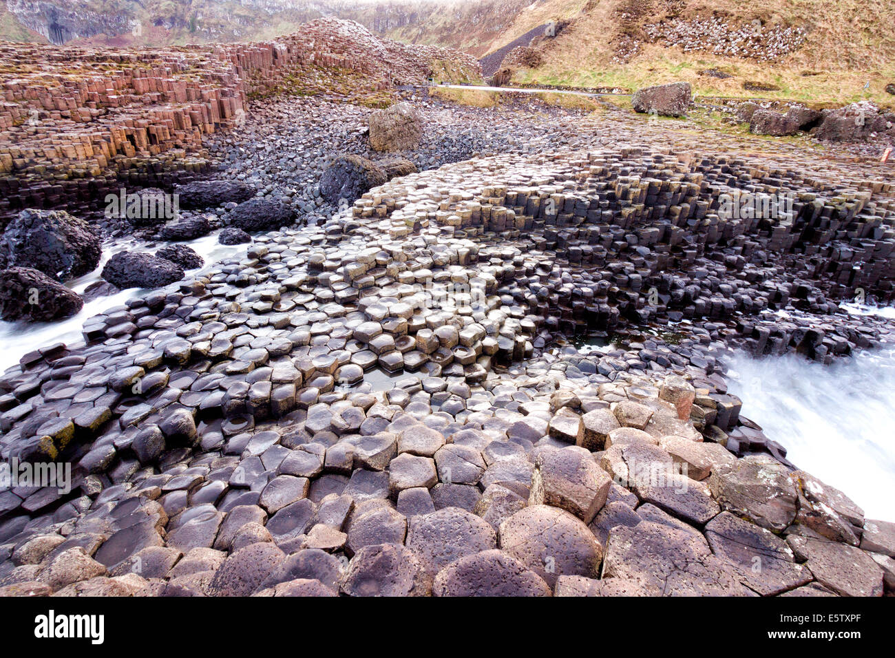 Giants Causeway, Irlanda del Norte Foto de stock