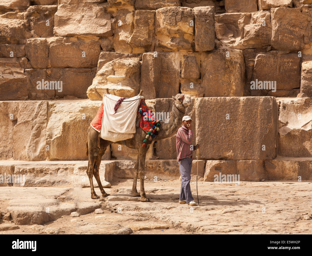 Camello y conductor esperando turistas por la Gran Pirámide de Giza en El Cairo, Egipto Foto de stock