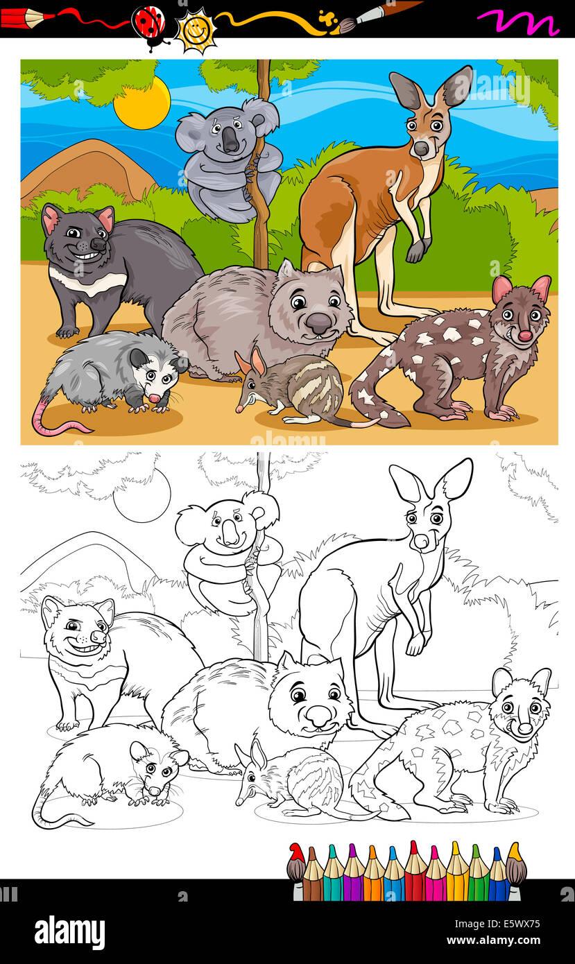 Libro para colorear de página o ilustración de caricatura en blanco y negro de animales mamíferos marsupiales divertido grupo de personajes para niños Foto de stock