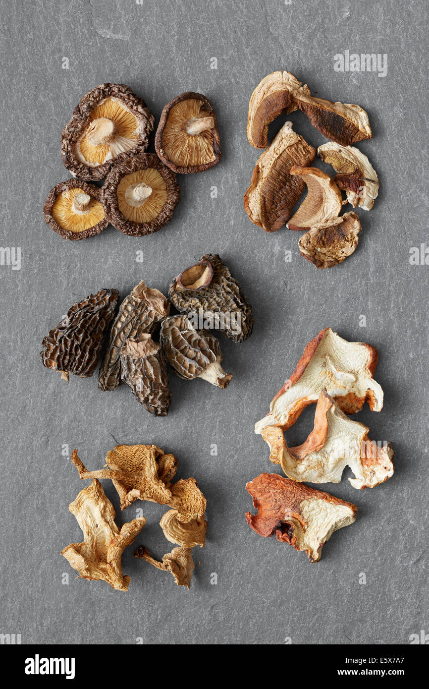 Cinco variedades de hongos secos: Shitake, porcini, Morel, Erizo, langosta Foto de stock