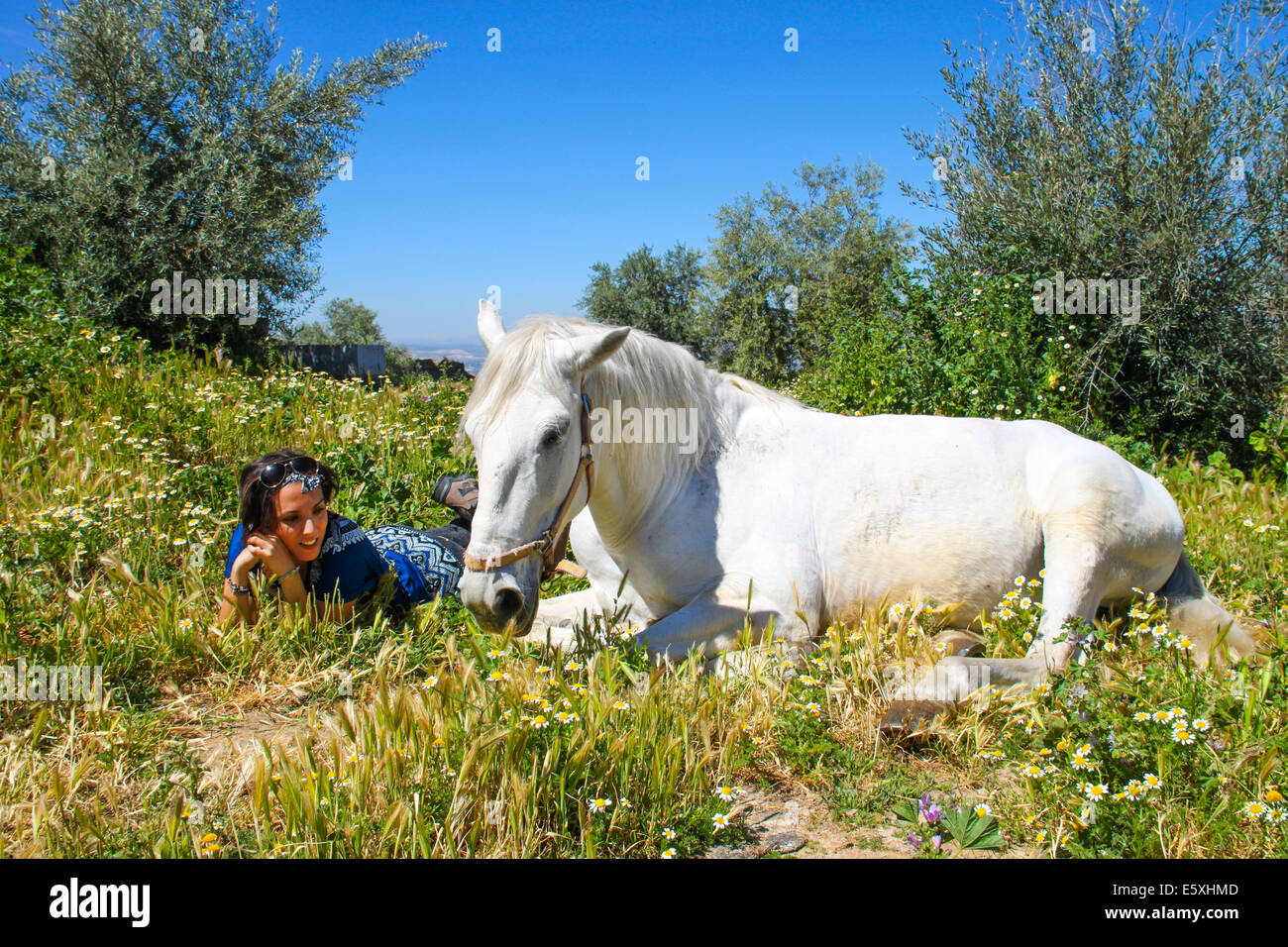 Hermoso caballo blanco con un joven a su lado entre las flores del campo Foto de stock