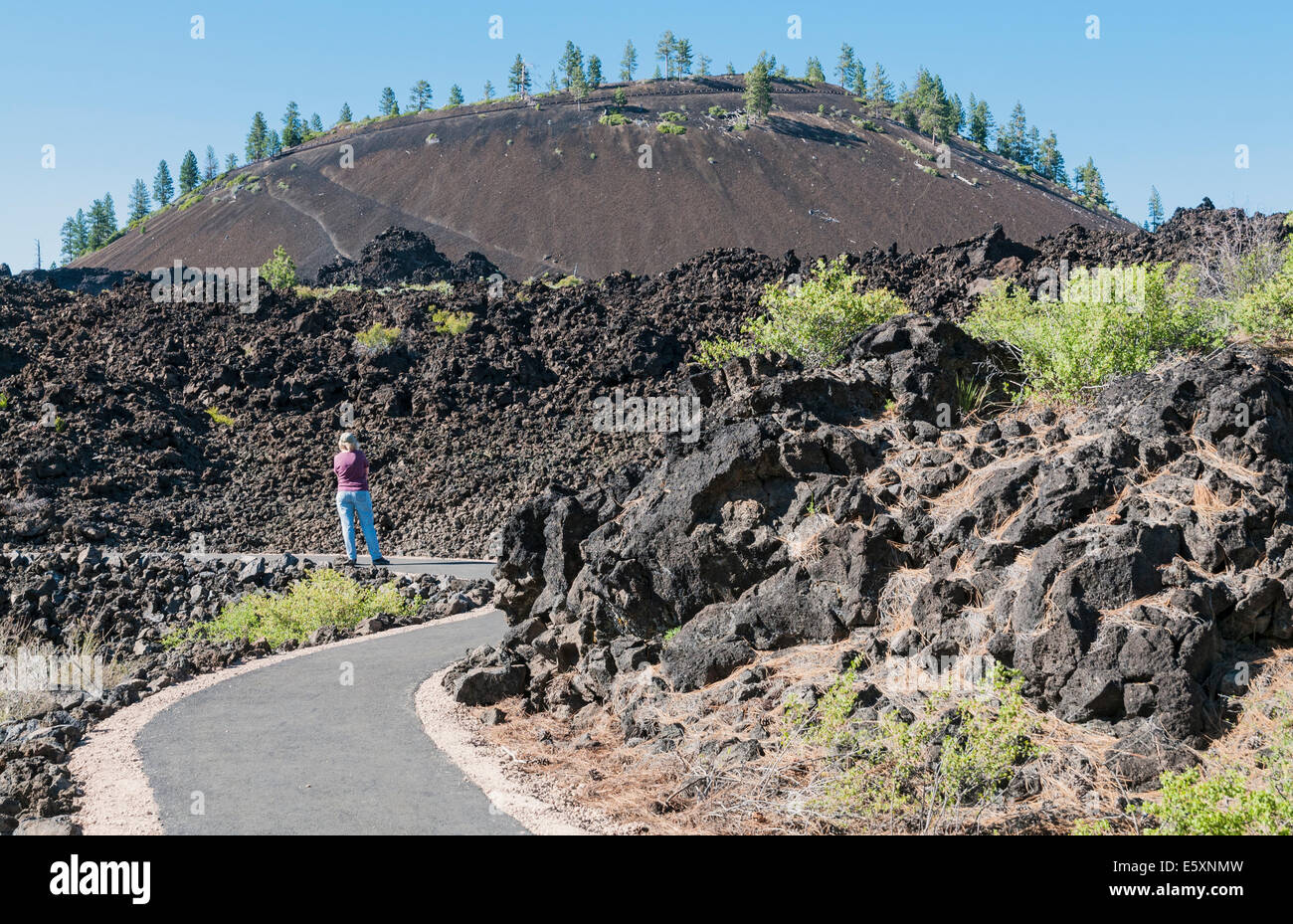 Oregon, Monumento Nacional Volcánico Newberry, Lava Butte, Camino de la tierra fundido Foto de stock