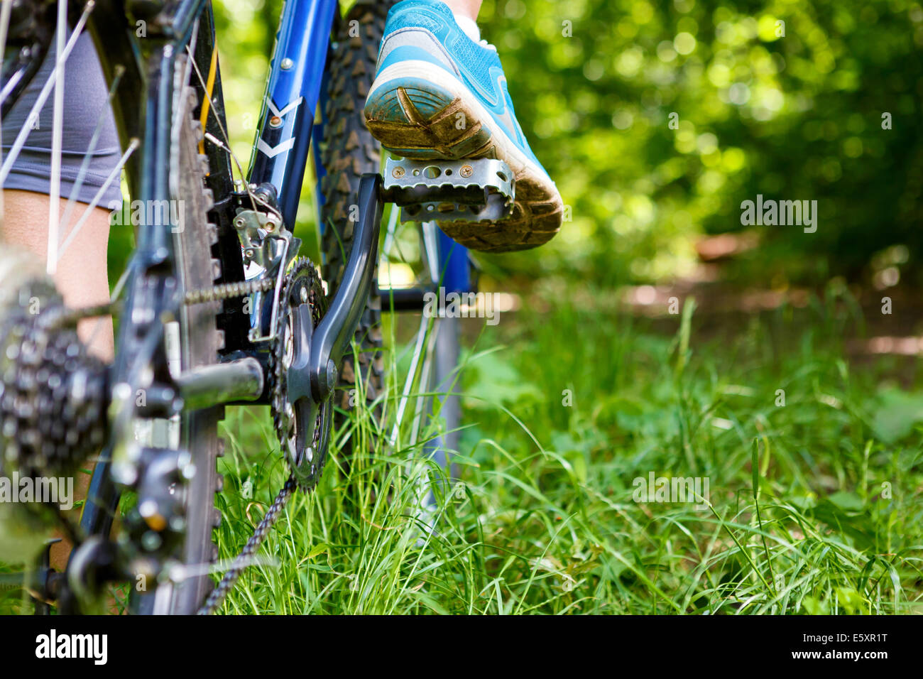 Adulto Hombre Montando En Bicicleta De Montaña Fotos, retratos, imágenes y  fotografía de archivo libres de derecho. Image 433681