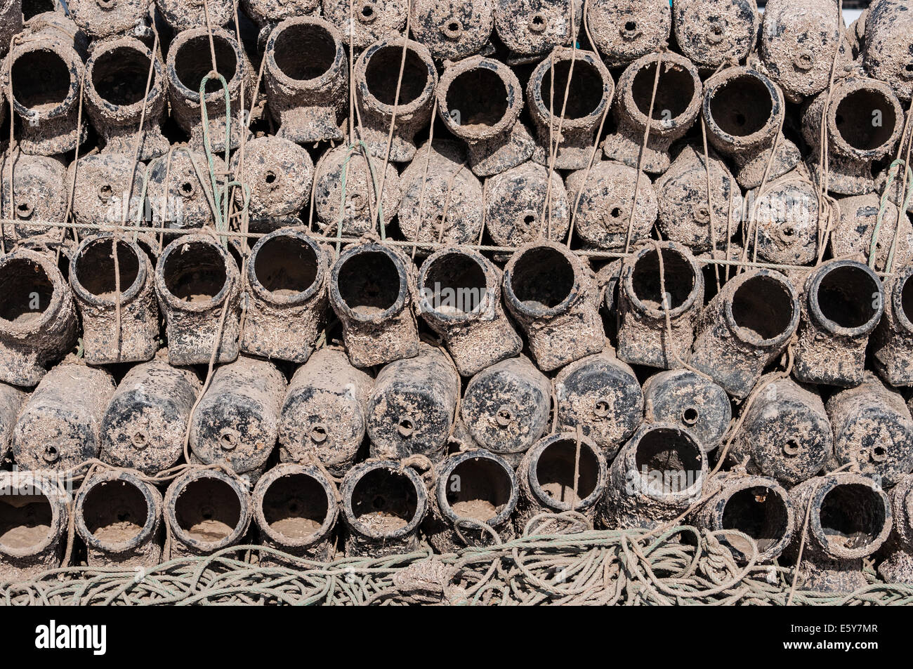 Pulpo de pesca e imágenes de alta resolución - Alamy