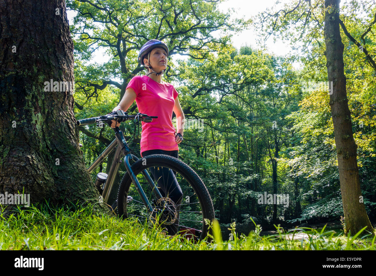 Colocar mujer de mediana edad en rosa ciclo permanente superior con su bicicleta en el soleado arbolados de Castell Coch, Gales del Sur, Reino Unido Foto de stock