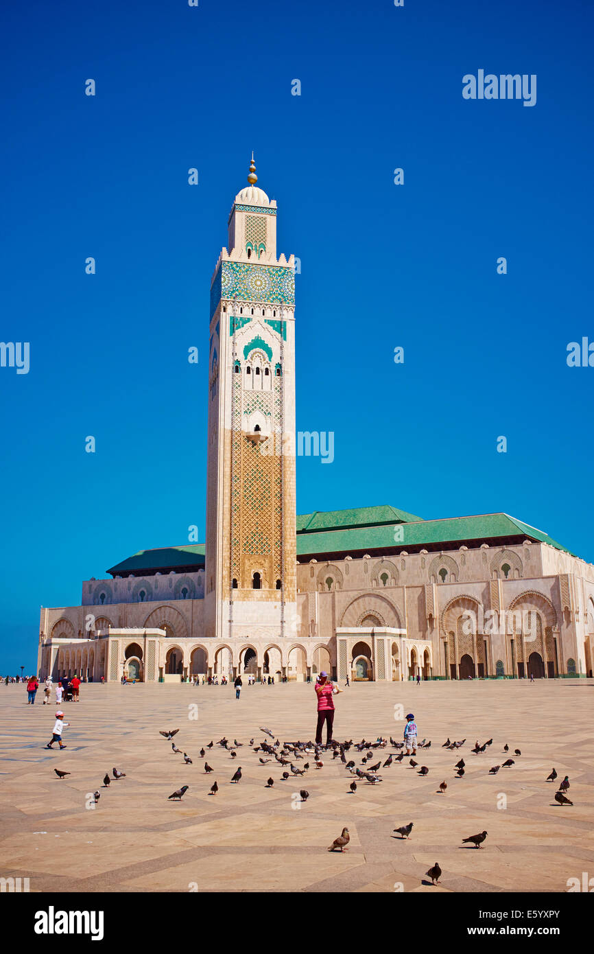 Marruecos, Casablanca y mezquita de Hassan II Foto de stock
