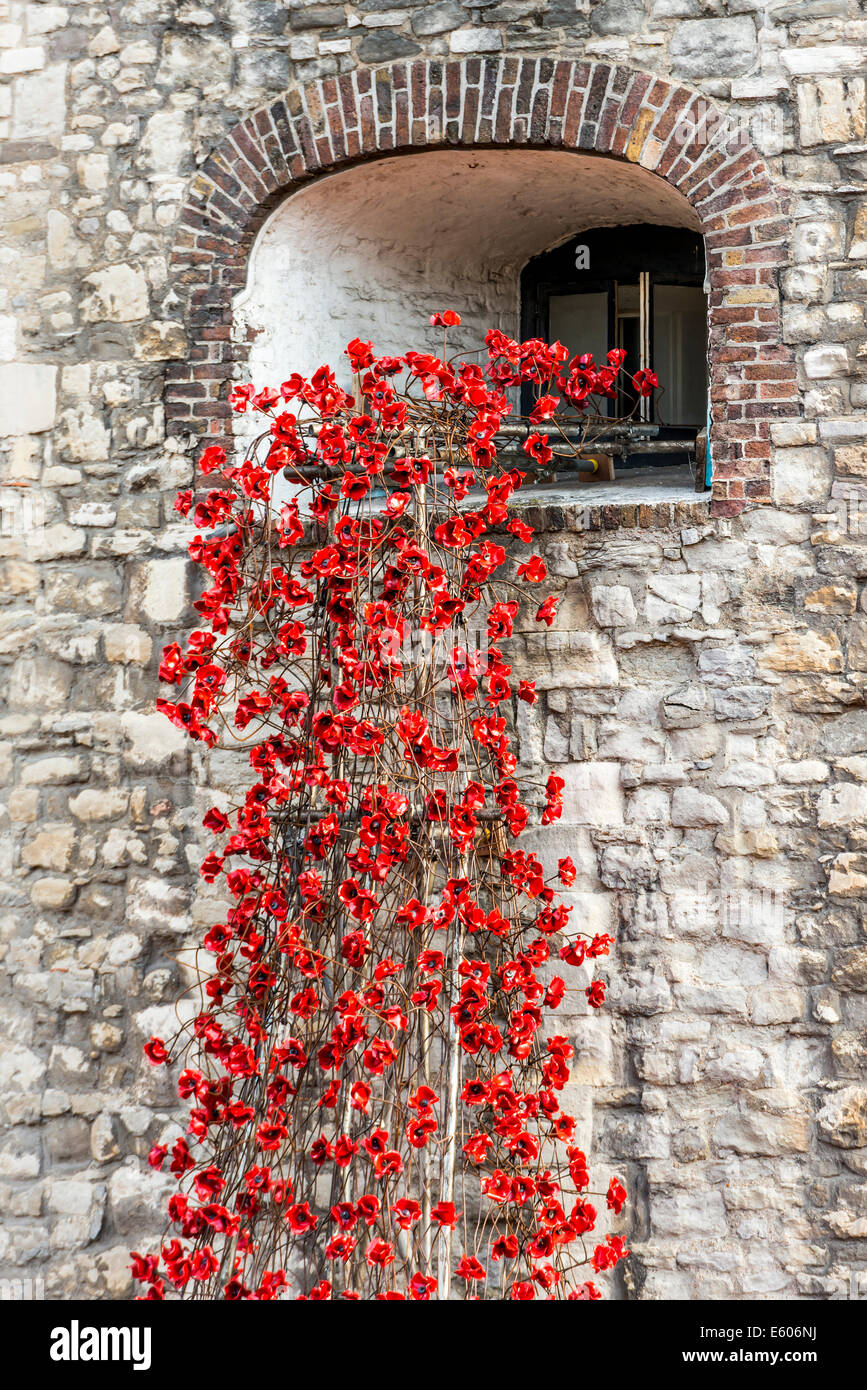 Para conmemorar el centenario de la primera guerra mundial miles de cerámica de amapola han sido colocados en el foso de la Torre de Londres. Foto de stock