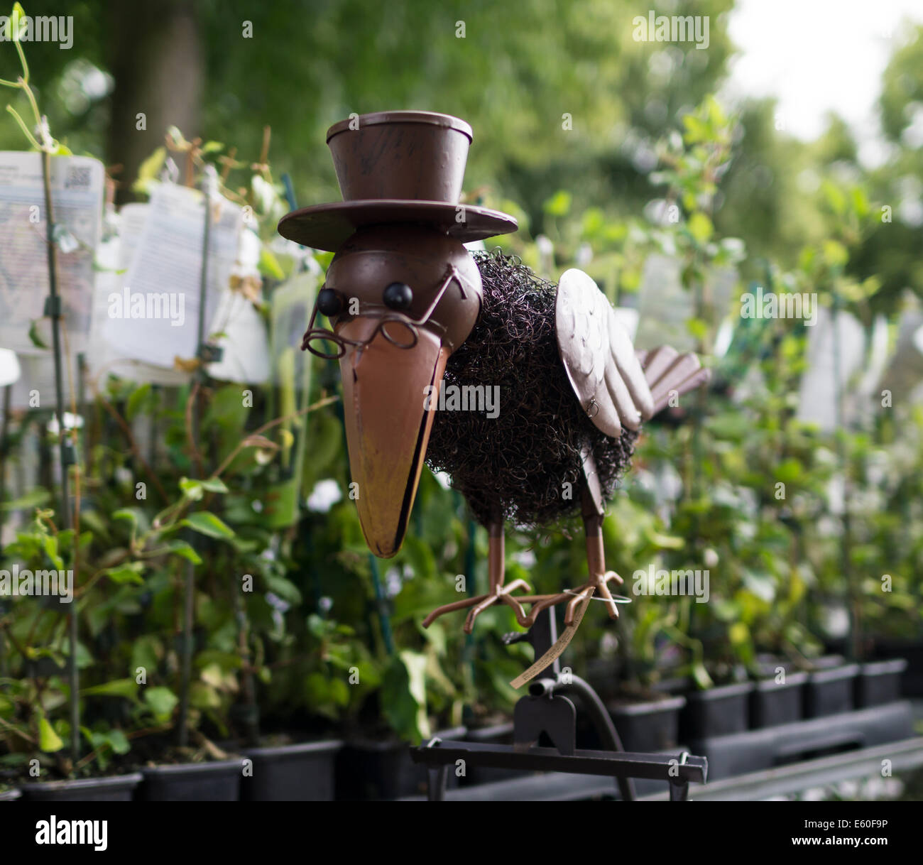 Adorno de loro metálico con gafas y sombrero Fotografía de stock - Alamy