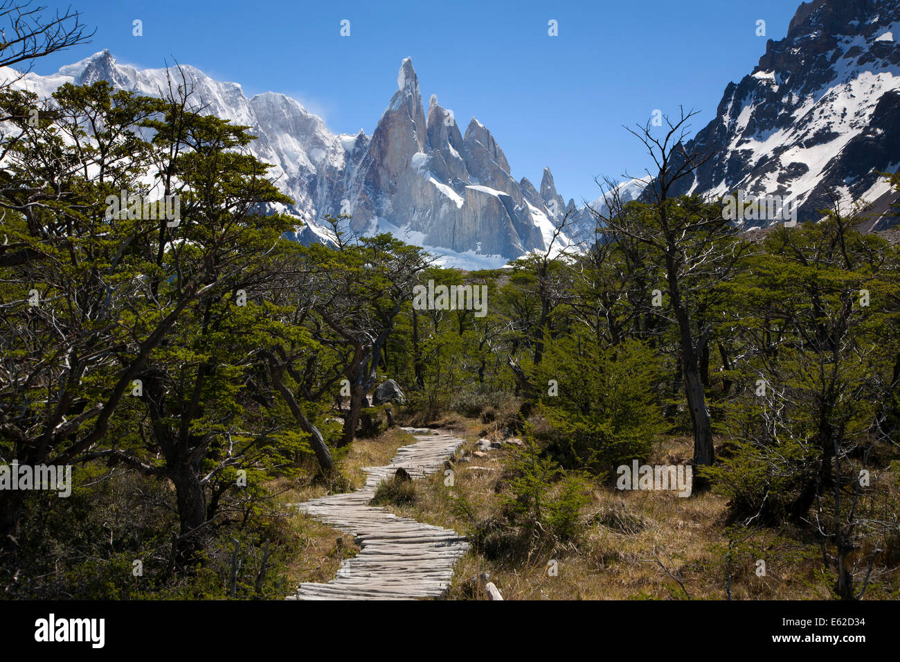 Camino al Cerro Torre. Parque Nacional Los Glaciares. Patagonia. Argentina Foto de stock