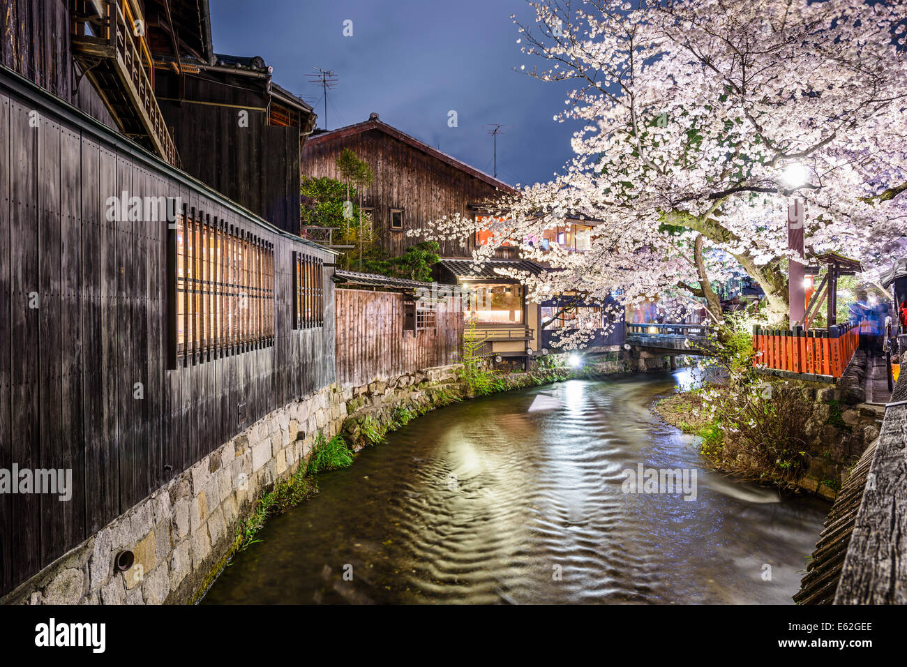 Kyoto, Japón en Shirakawa del distrito de Gion. Foto de stock
