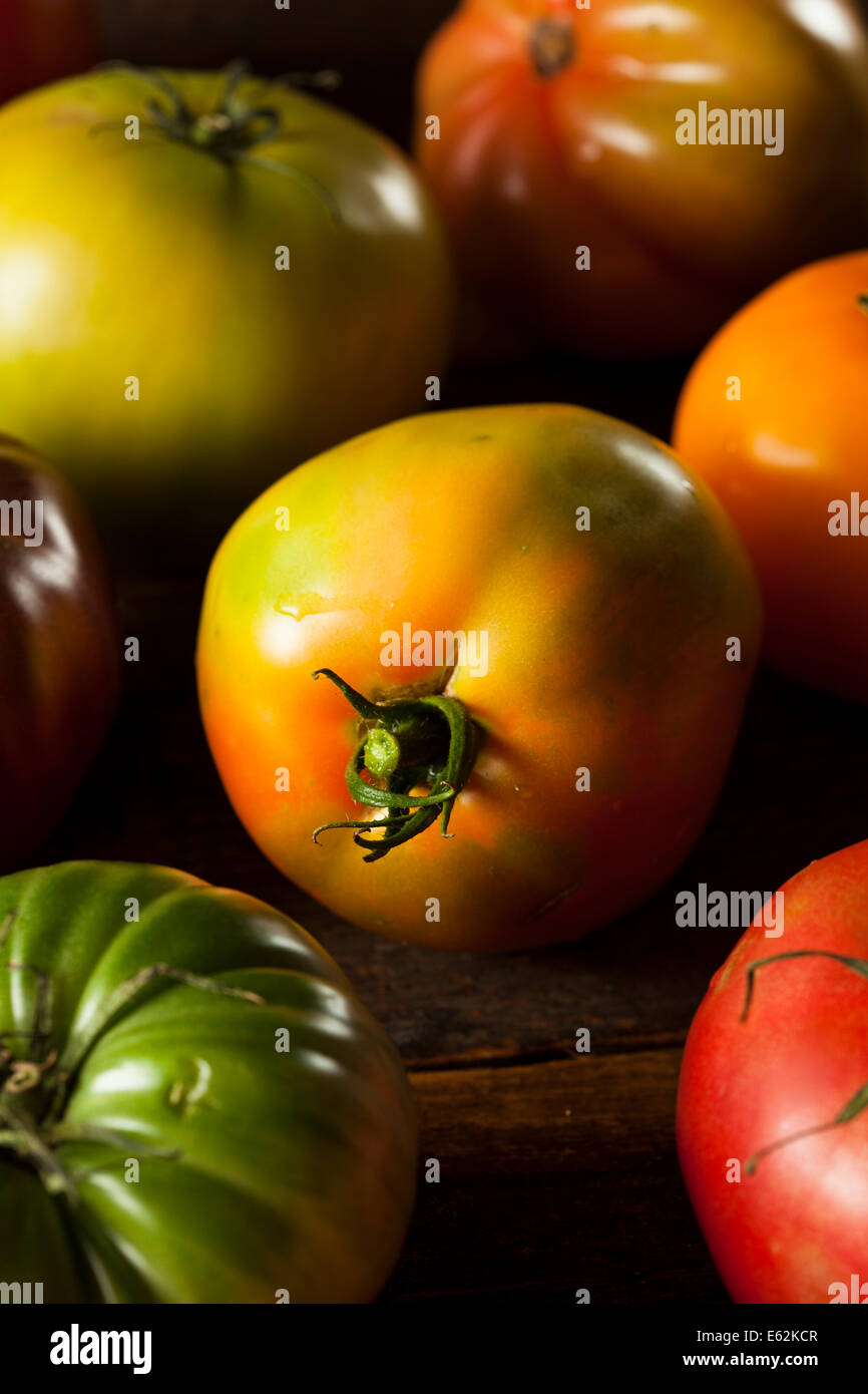 Colorido reliquia orgánicos tomates frescos del jardín Foto de stock