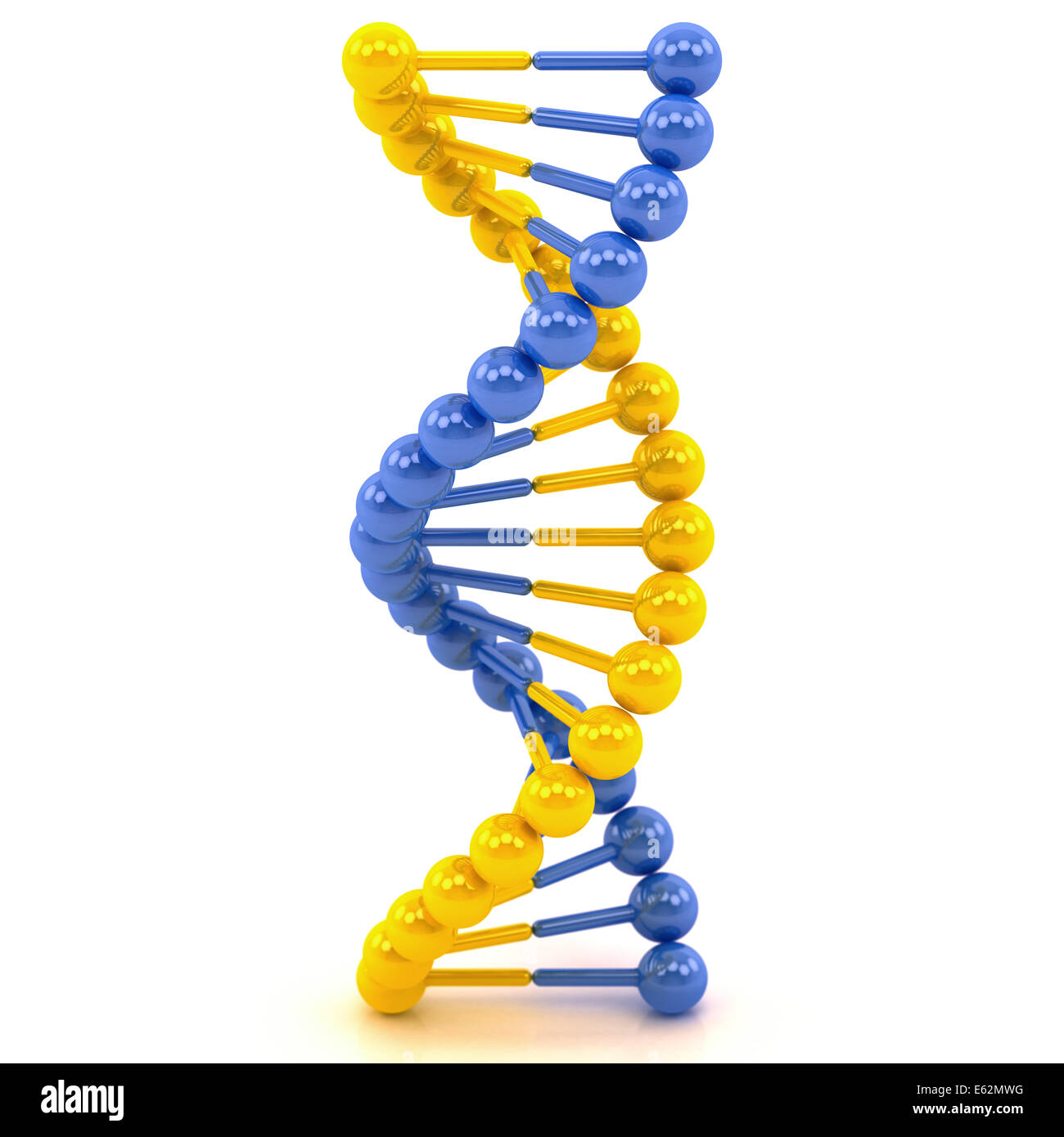 Molécula de ADN azul amarillo sobre un fondo blanco. Foto de stock