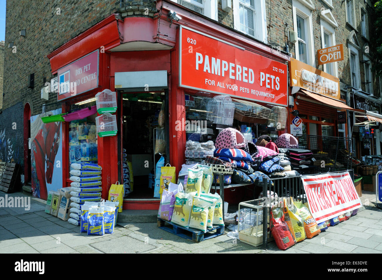 Mimada mascotas pet shop, Holloway Road, London Borough of Islington, Inglaterra Gran Bretaña UK Foto de stock