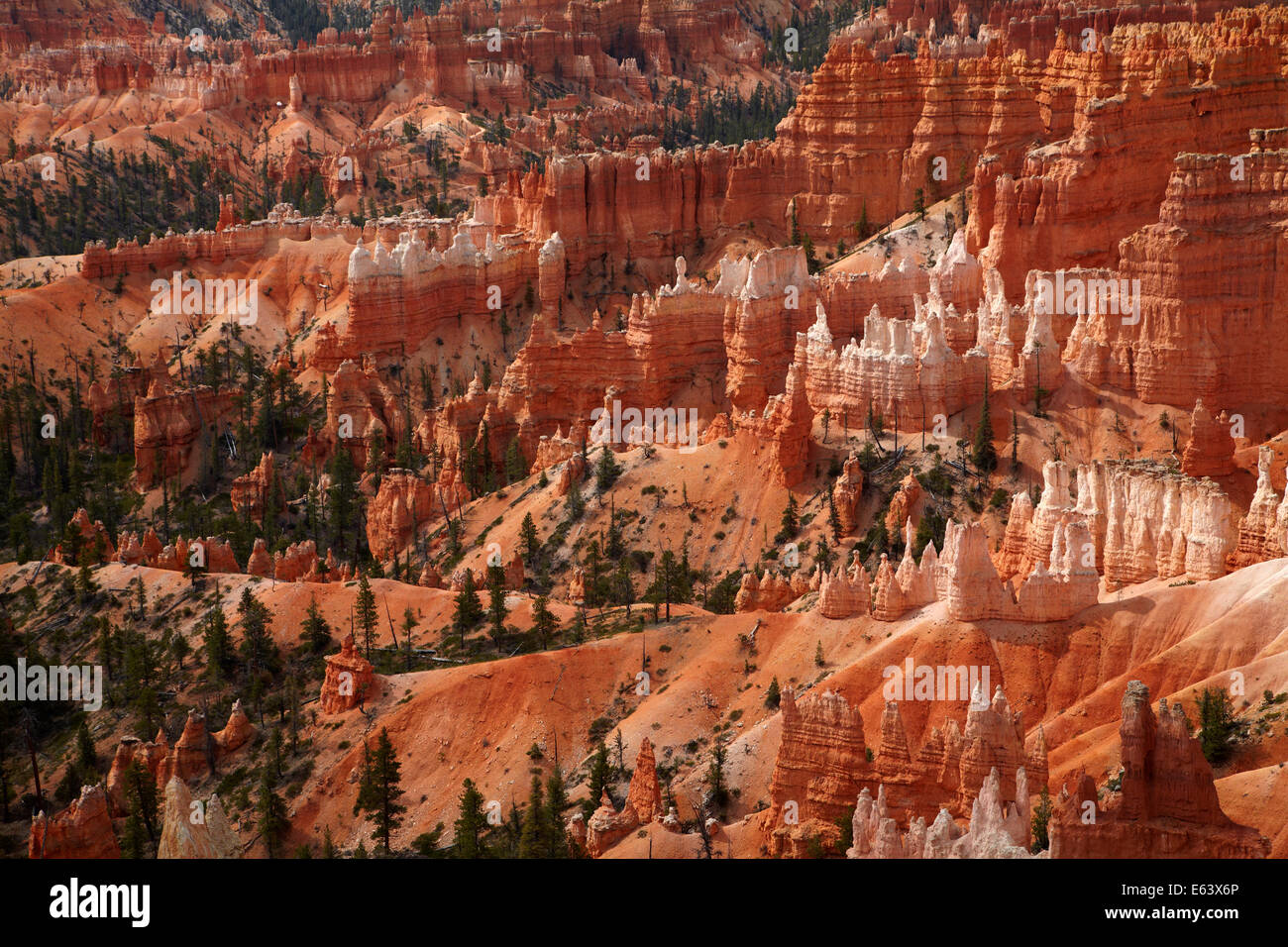 Hoodoos, Bryce Anfiteatro, Bryce Canyon National Park, Utah, EE.UU. Foto de stock