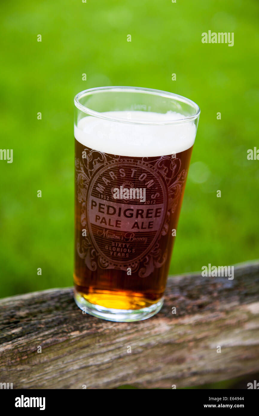 Una pinta de Marston's Pedigree pale ale o real ale o cerveza en una copa conmemorativa celebrando los 60 años de la elaboración de la cerveza Foto de stock