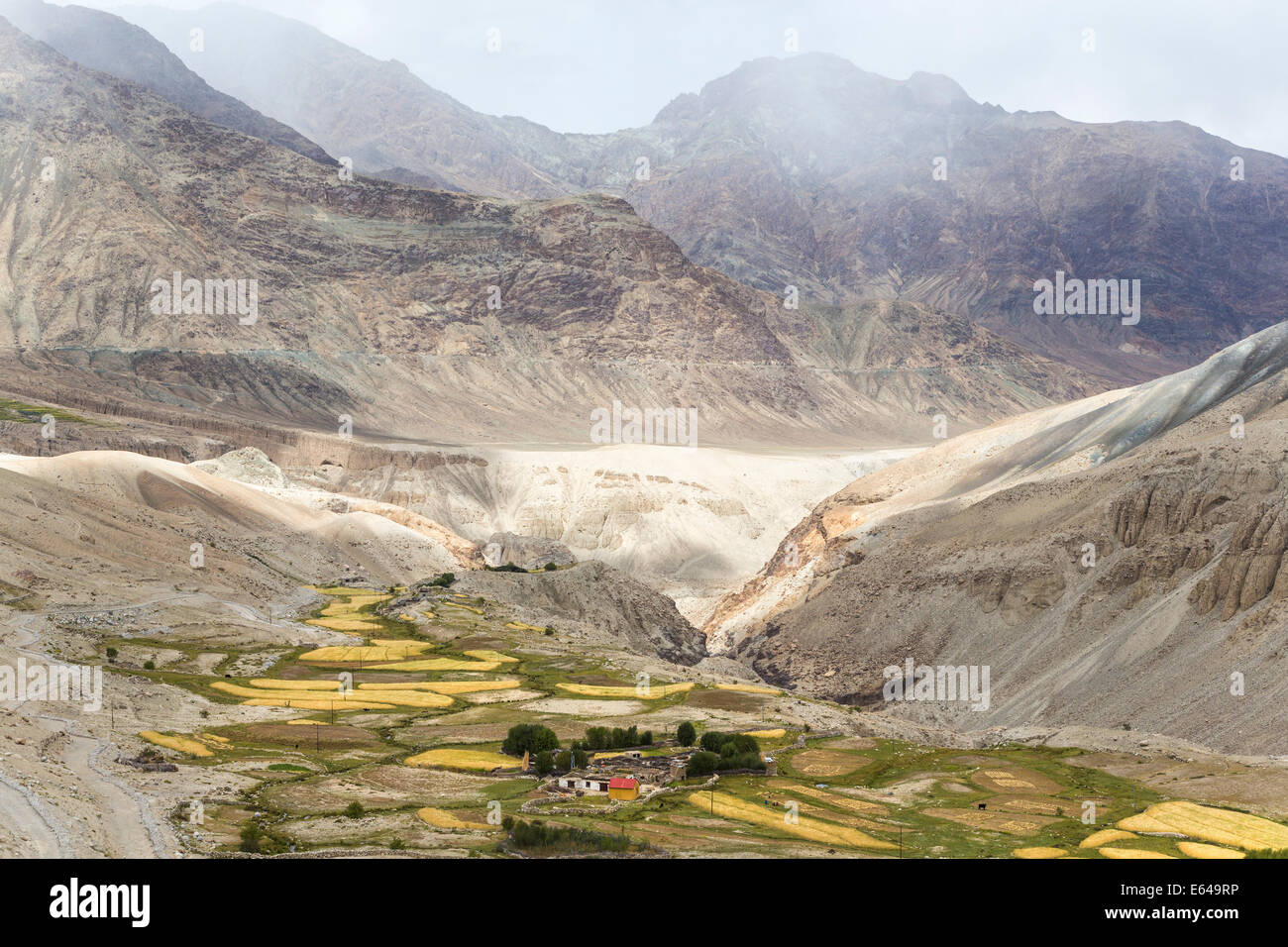 El valle de Nubra, Ladakh, India Foto de stock