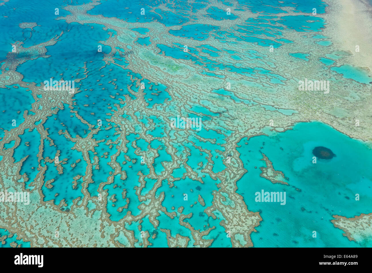 La Gran Barrera de Coral, Queensland, Australia Foto de stock