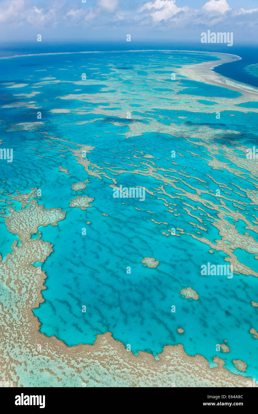 La Gran Barrera de Coral, Queensland, Australia Foto de stock