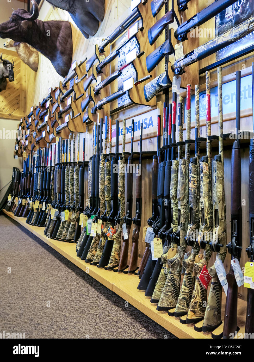 Rifles de caza, Scheels Tienda de Artículos Deportivos, Great