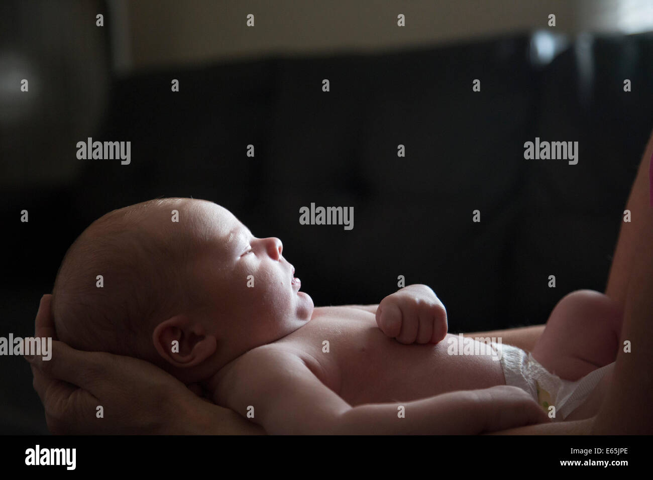 Denver Colorado Adam Hjermstad Jr De Dos Semanas De Edad Duerme En Los Brazos De Su Abuela Fotografia De Stock Alamy