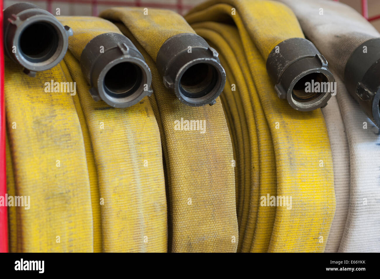 Manguera de bomberos - Manguera de agua plana de 2 1/2 pulgadas x 50 pies -  Fabricado en los Estados Unidos - Manguera de bomberos blanca 