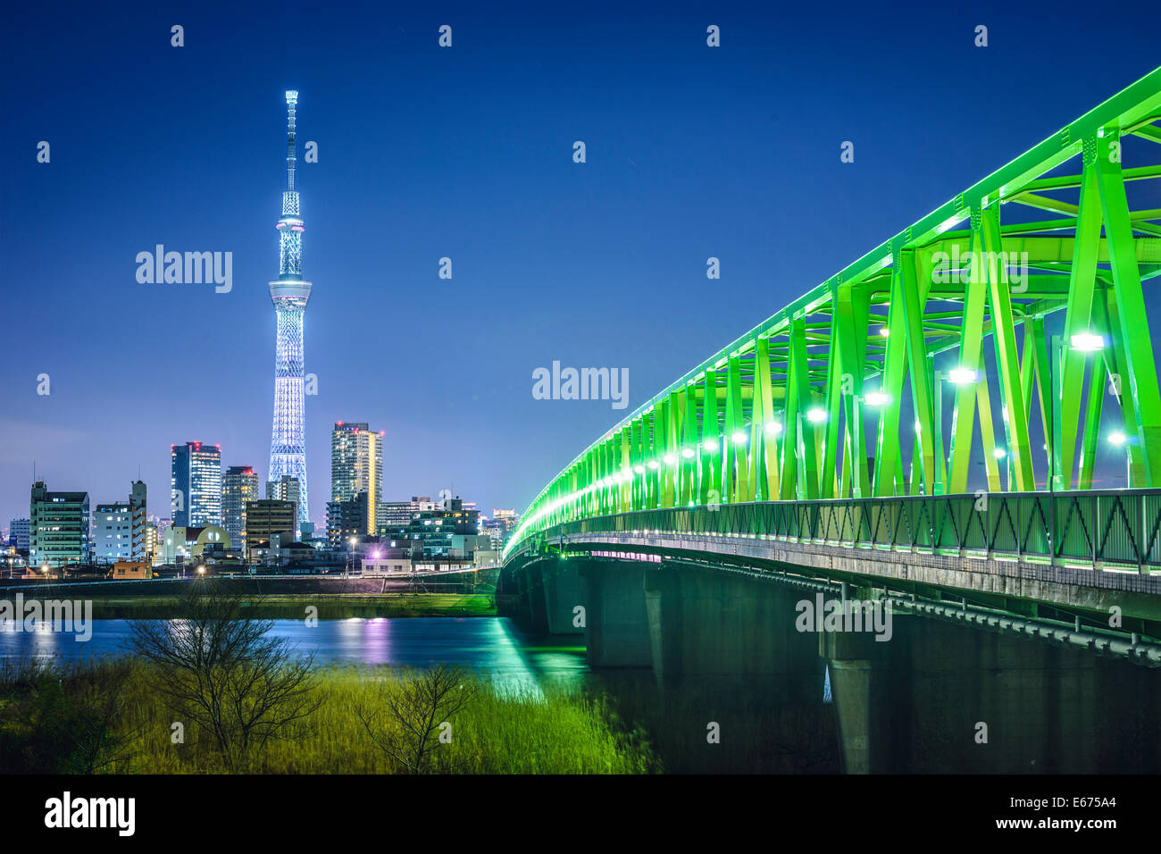 Tokio, Japón skyline con Tokio Skytree. Foto de stock