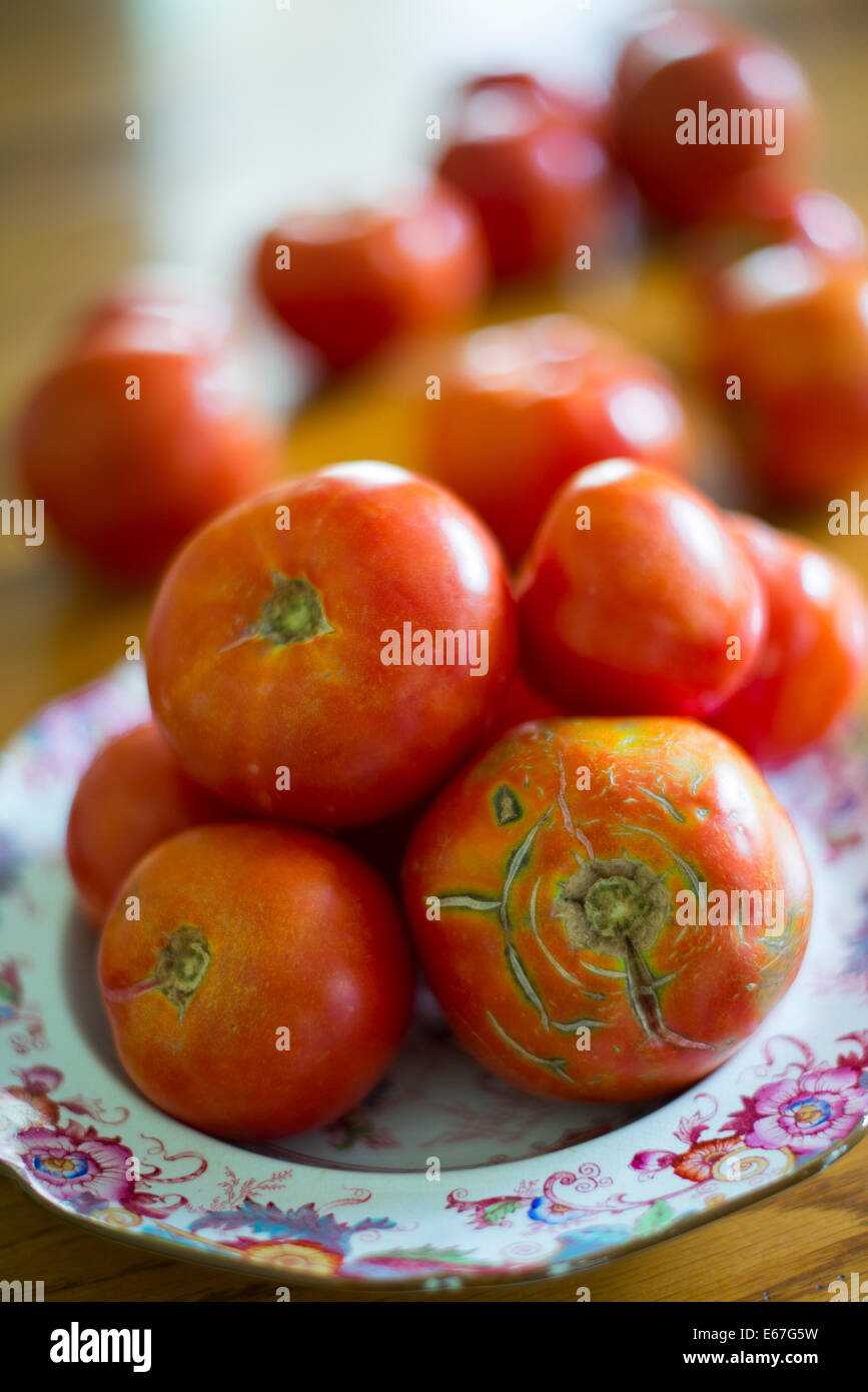 Los tomates, frescos del jardín , en un antiguo recipiente sobre una mesa de roble. Foto de stock