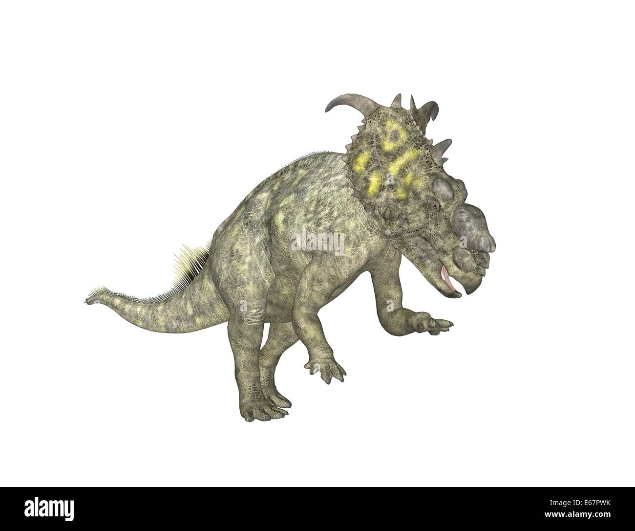 Pachyrhinosaurus Dinosaurier Pachyrhinosaurus / dinosaurio Foto de stock