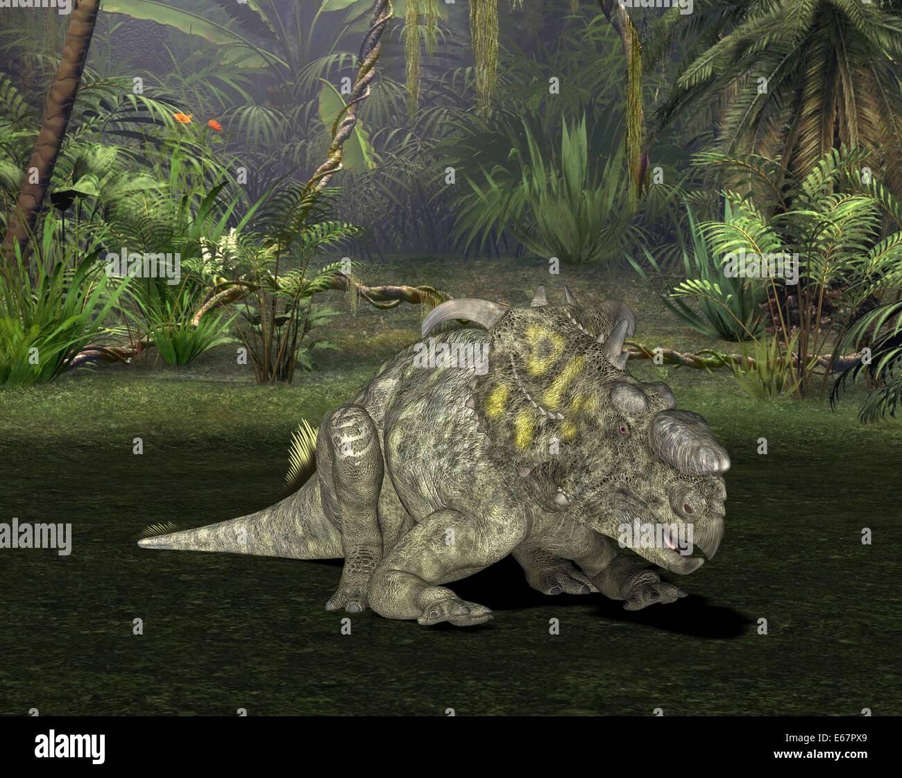 Pachyrhinosaurus Dinosaurier Pachyrhinosaurus / dinosaurio Foto de stock