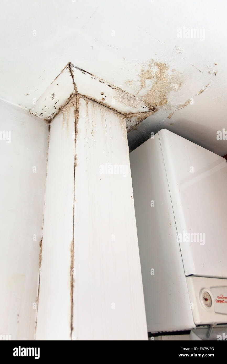 Muro dañado por fuga de agua en un consejo break apartamento en Londres, Inglaterra Foto de stock