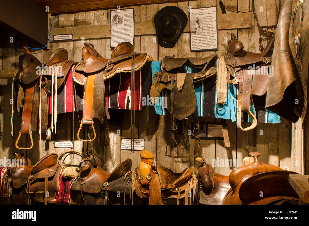 Rodeo monturas tack mostrar exhibición en la Columbia Británica Cowboy Hall of Fame Museum, Williams Lake, British Columbia, Canadá. Foto de stock