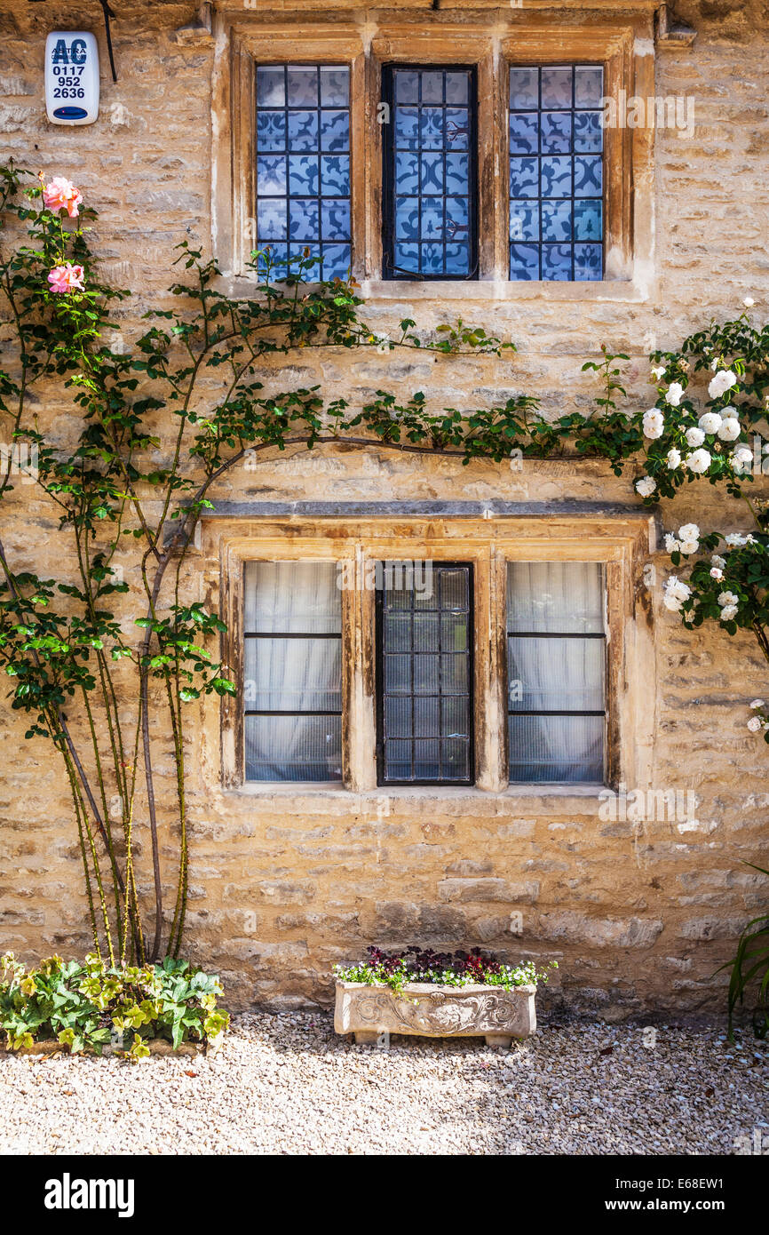 Casa de piedra de Cotswold frente con geminadas, vidrieras emplomadas y excursionismo de rosas. Foto de stock